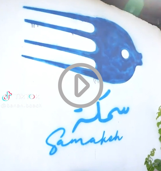 Video Gallery Samakeh